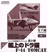 Doyusha 1:144 F-14 Tomcat